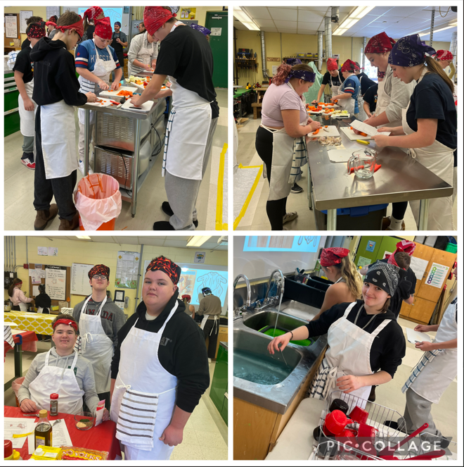 AVPS Gators in Action