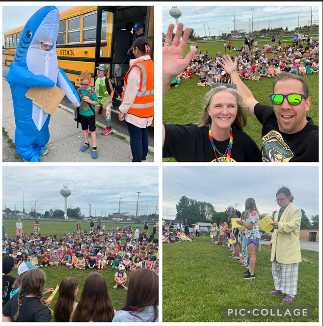 AVPS Assembly