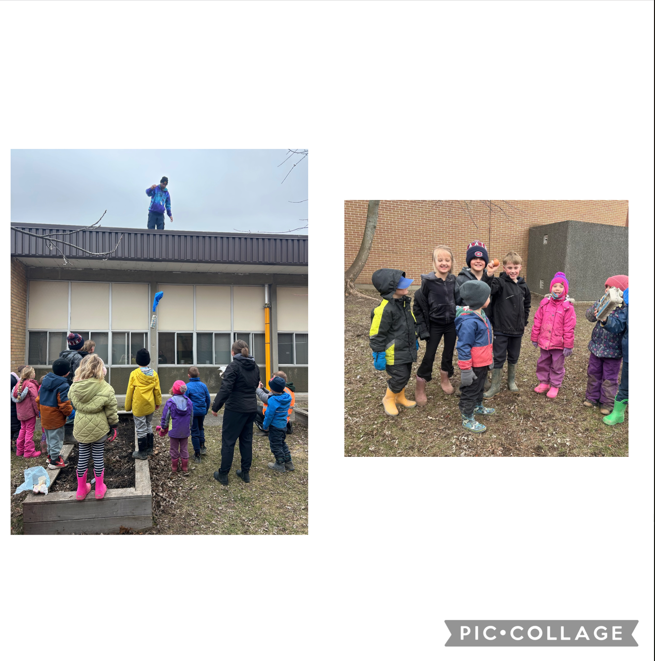 AVPS Egg Drop